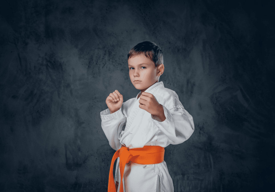 Young boy in orange belt ready stance